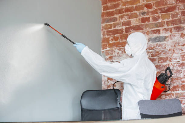 Best Mold Documentation for Insurance Claims  in Lucedale, MS