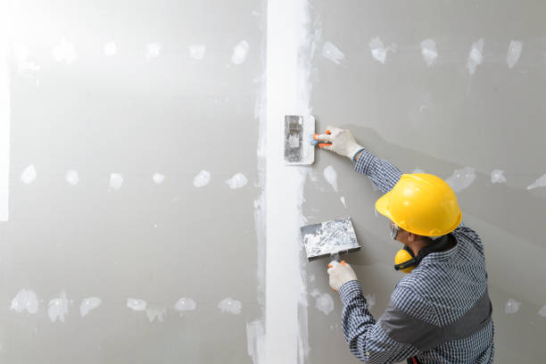 Best Black Mold Removal  in Lucedale, MS