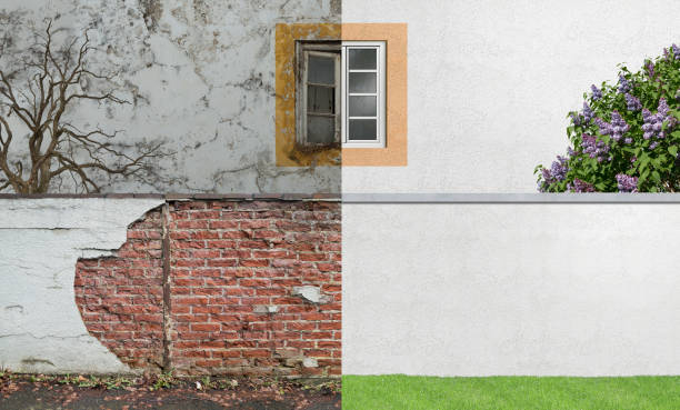 Professional Mold Removal in Lucedale, MS