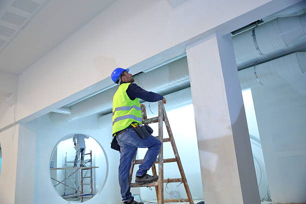 Mold Removal for HVAC Installations in Lucedale, MS